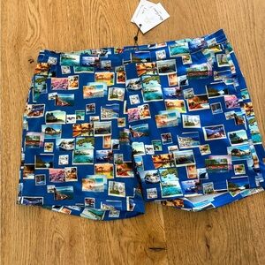 Robert Graham Blue Postcard Men’s Bathing Suit